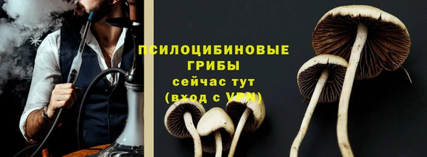 трава Алзамай