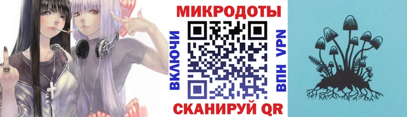 Псилоцибиновые грибы MAGIC MUSHROOMS  как найти закладки  Ярцево 
